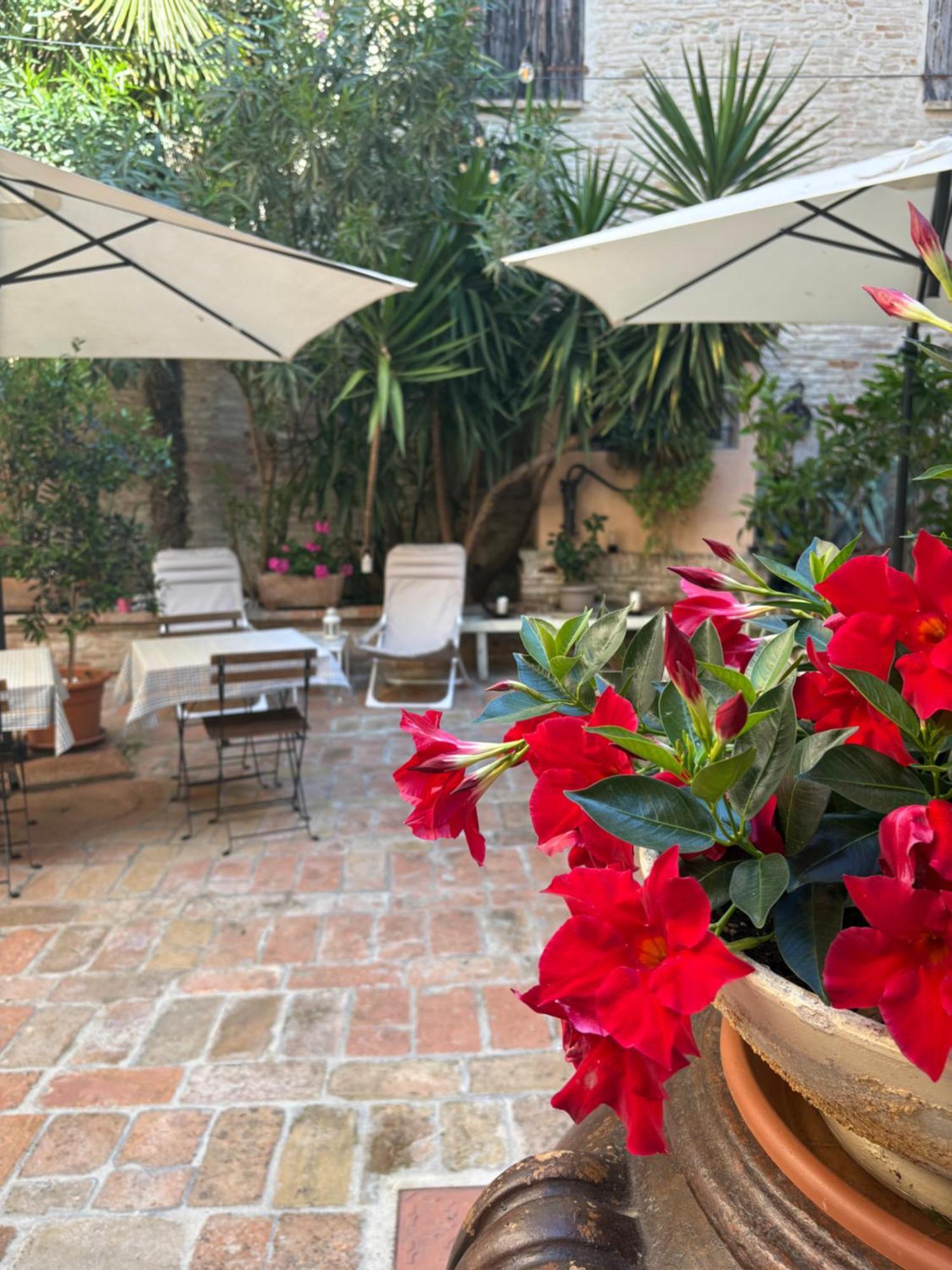 Relais B&B Corte Dei Turchi Longiano Exteriér fotografie